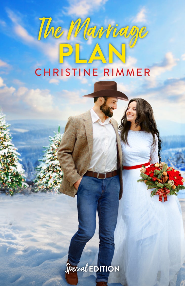 Cover image for The Marriage Plan, isbn: 9781038972002