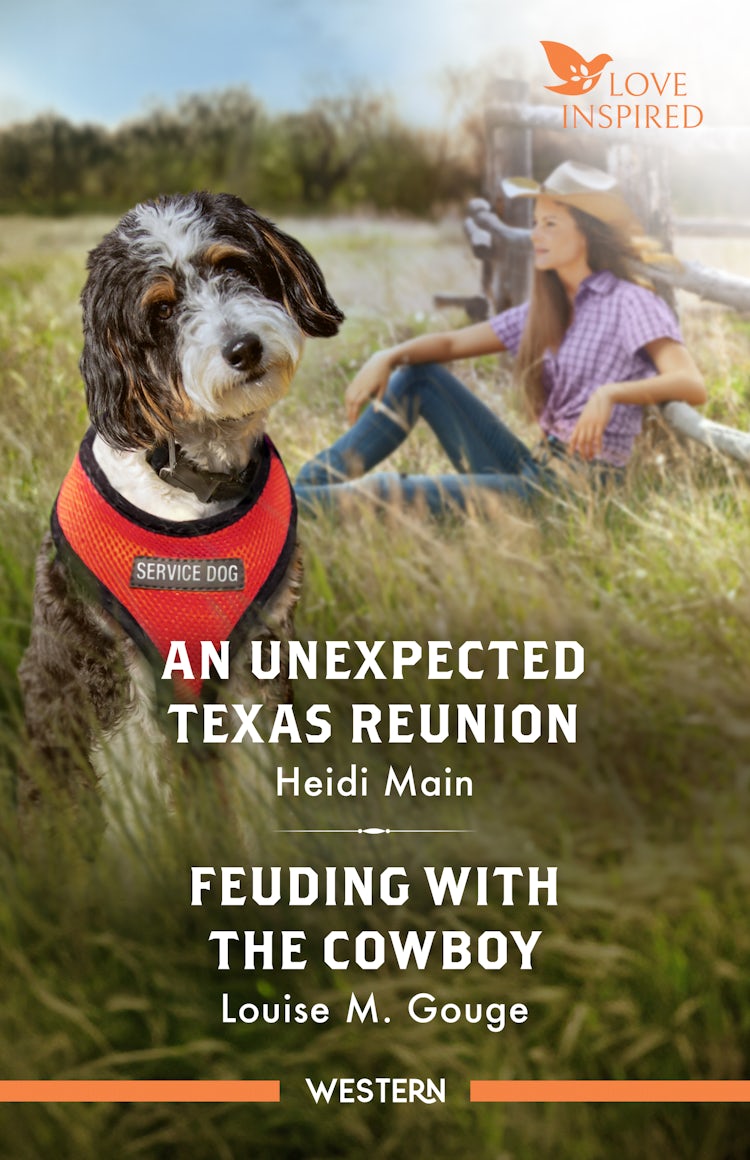 Cover image for An Unexpected Texas Reunion/Feuding With The Cowboy, isbn: 9781038972392