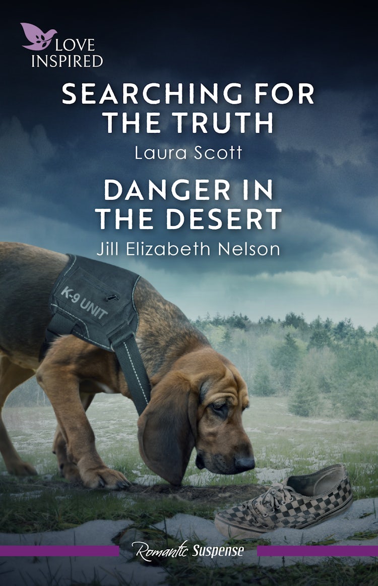 Cover image for Searching For The Truth/Danger In The Desert, isbn: 9781038972965