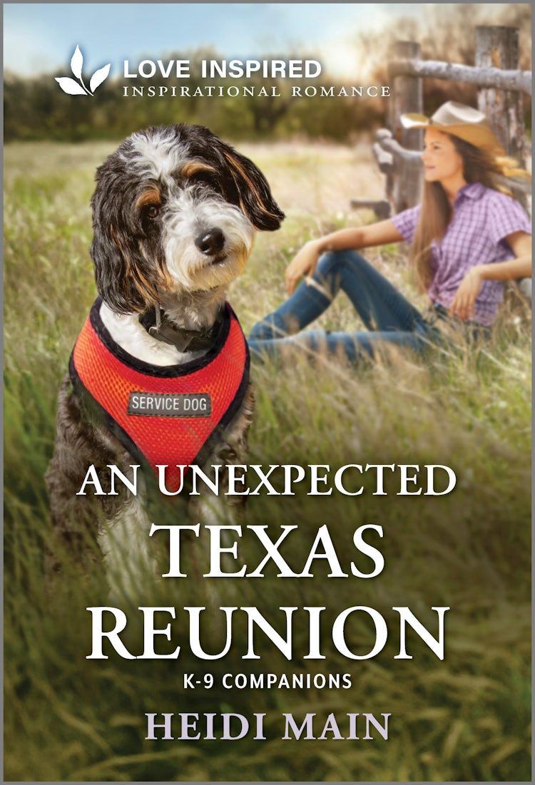 Cover image for An Unexpected Texas Reunion, isbn: 9781038973429
