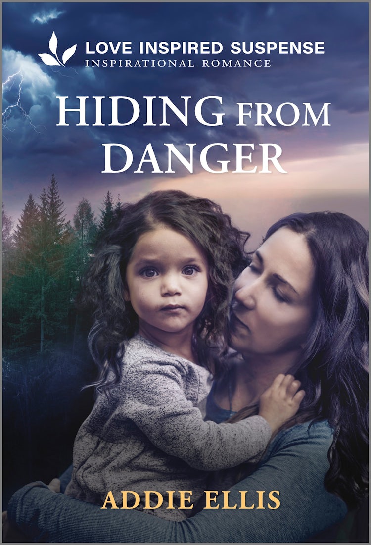 Cover image for Hiding From Danger, isbn: 9781038973535