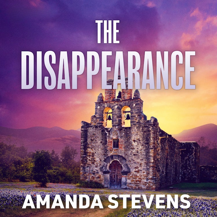 Cover image for The Disappearance, isbn: 9781038974051