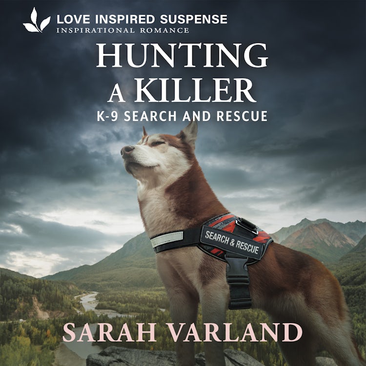 Cover image for Hunting A Killer, isbn: 9781038974105