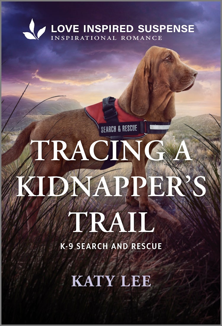 Cover image for Tracing A Kidnapper's Trail, isbn: 9781038977106