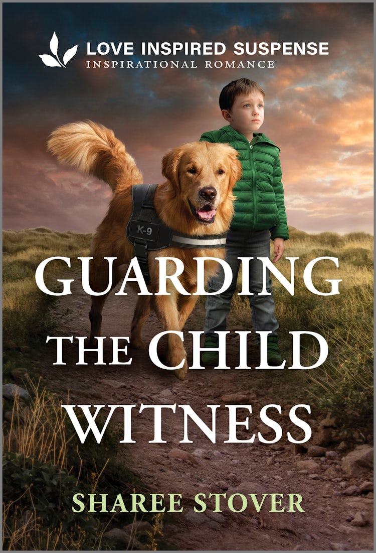 Cover image for Guarding The Child Witness, isbn: 9781038977113