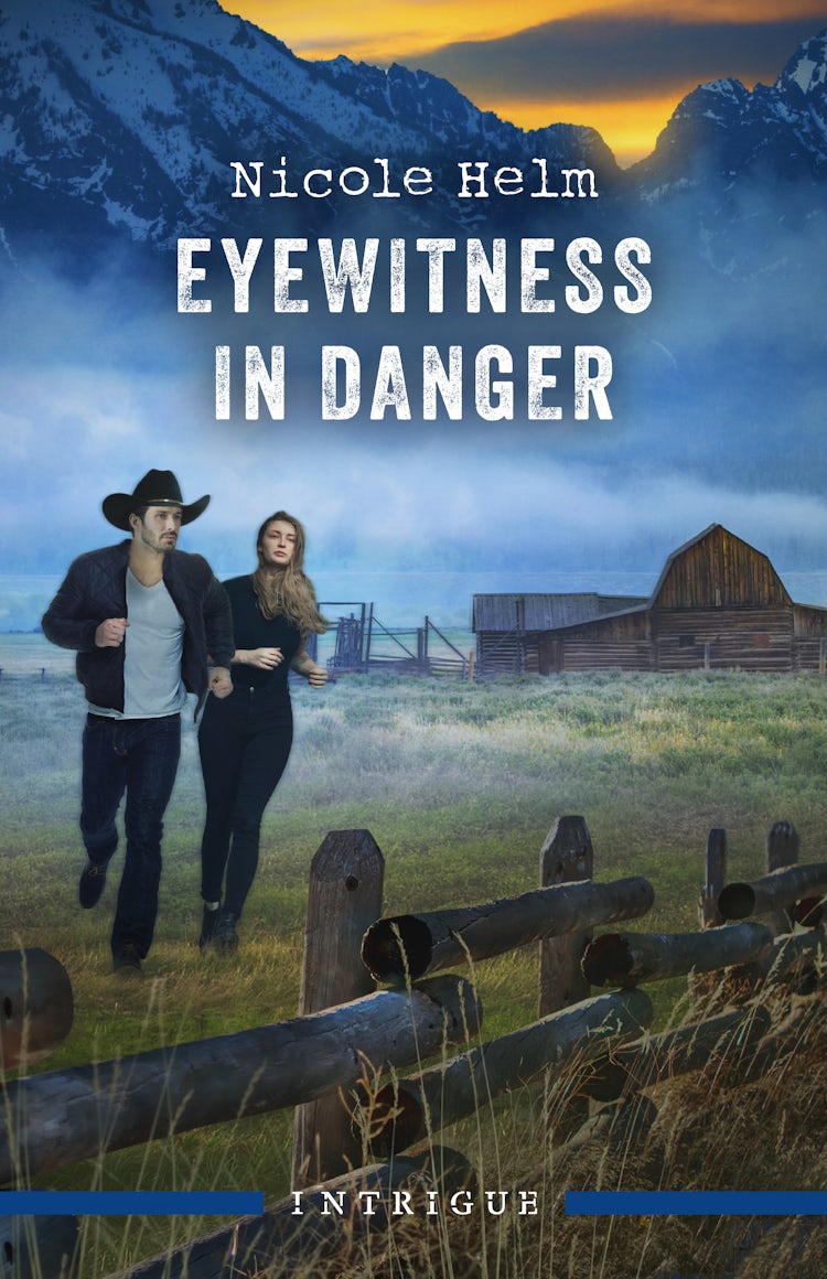 Cover image for Eyewitness In Danger, isbn: 9781038978189