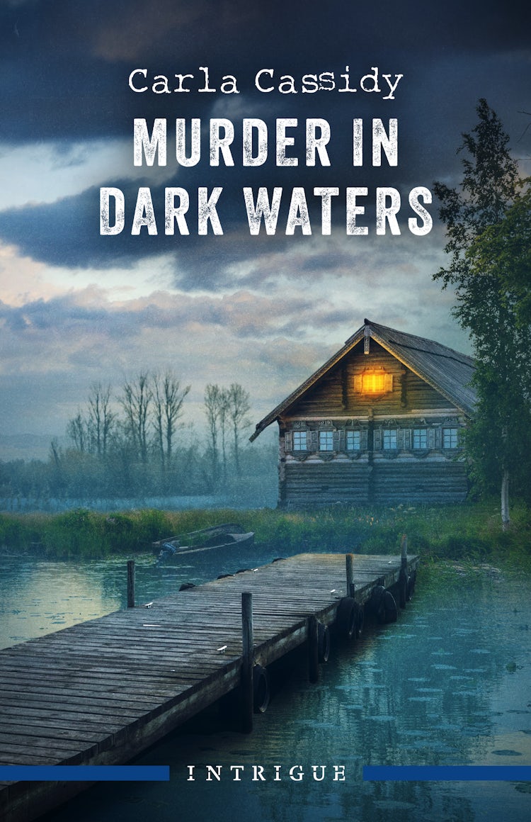Cover image for Murder In Dark Waters, isbn: 9781038978196