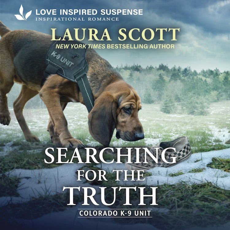 Cover image for Searching For The Truth, isbn: 9781038978714