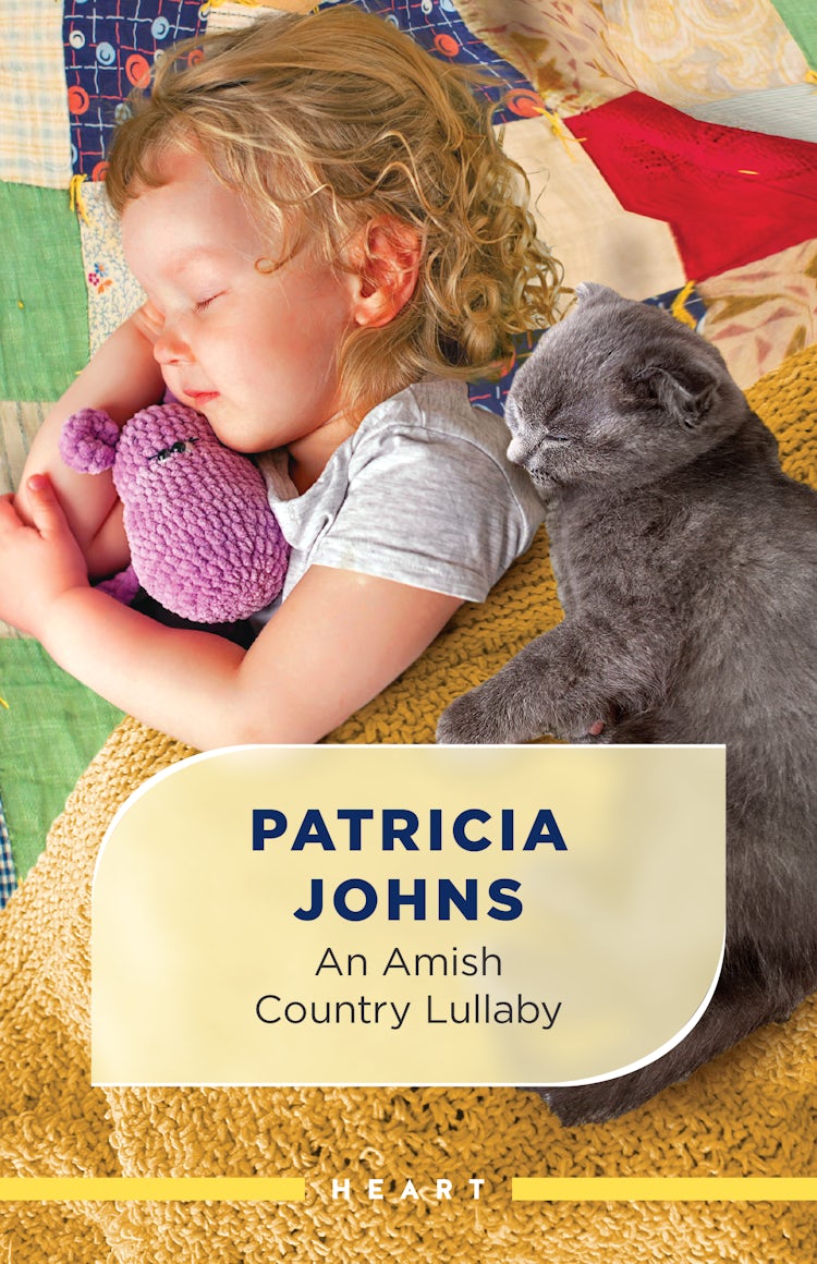Cover image for An Amish Country Lullaby, isbn: 9781038979698