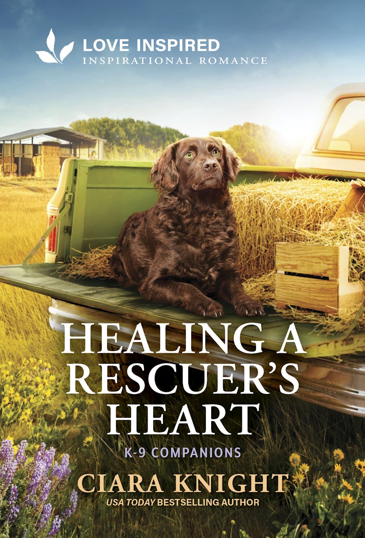 Cover image for Healing A Rescuer's Heart, isbn: 9781038979759