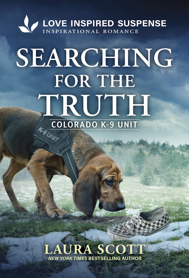 Cover image for Searching For The Truth, isbn: 9781038979803