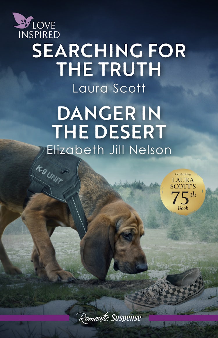Cover image for Searching For The Truth/Danger In The Desert, isbn: 9781038981134