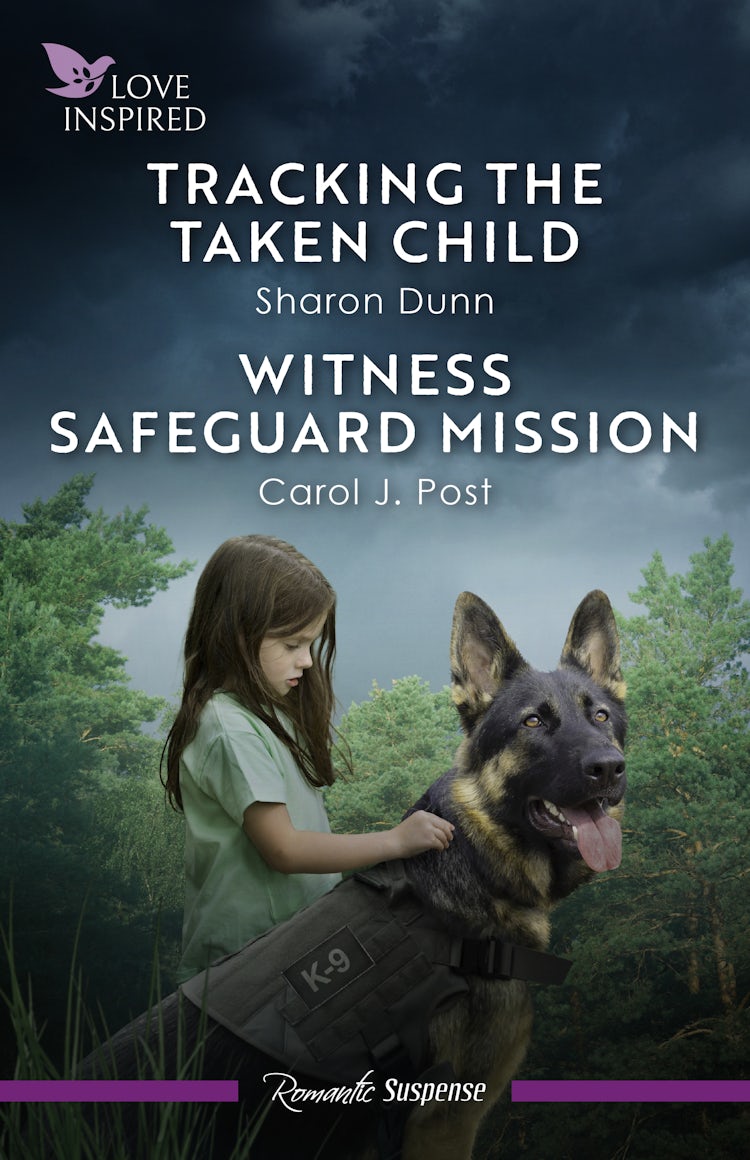 Cover image for Tracking The Taken Child/Witness Safeguard Mission, isbn: 9781038981226