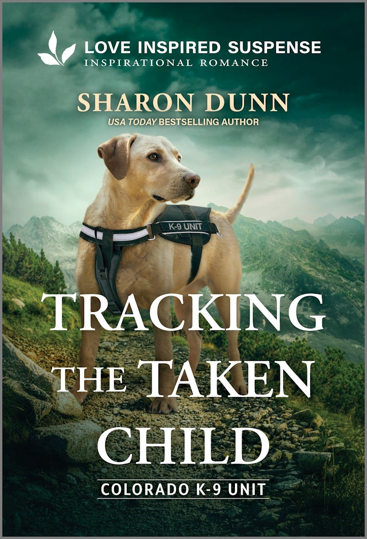 Cover image for Tracking The Taken Child, isbn: 9781038982056