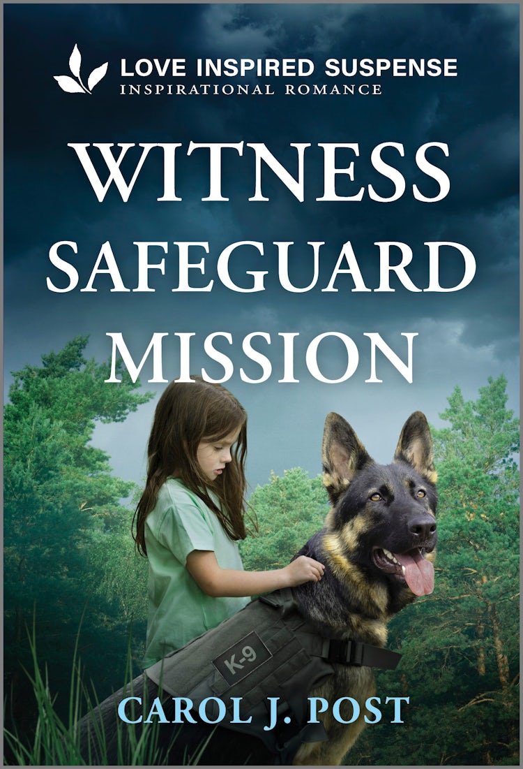 Cover image for Witness Safeguard Mission, isbn: 9781038982063