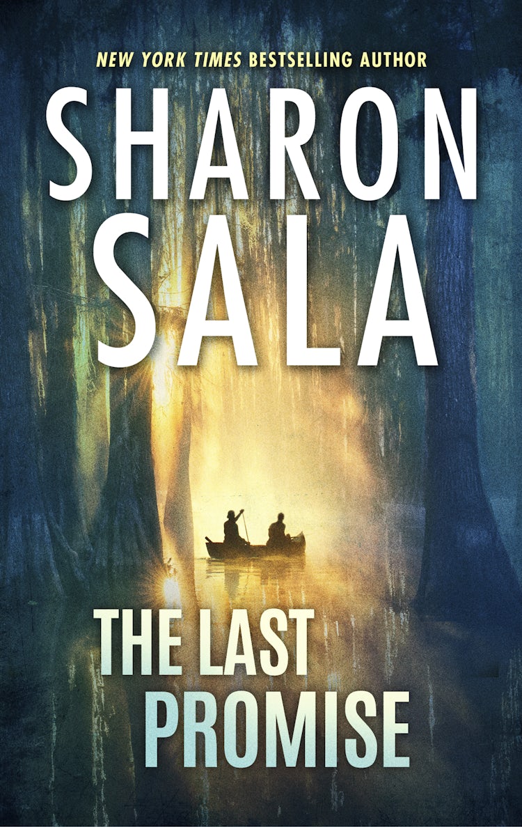 Cover image for The Last Promise, isbn: 9781038982223