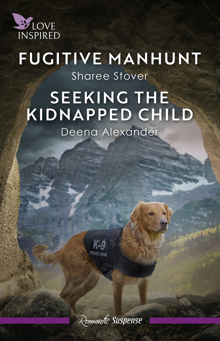 Cover image for Fugitive Manhunt/Seeking The Kidnapped Child, isbn: 9781038982582