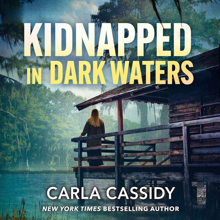 Cover image for Kidnapped In Dark Waters, isbn: 9781038983220