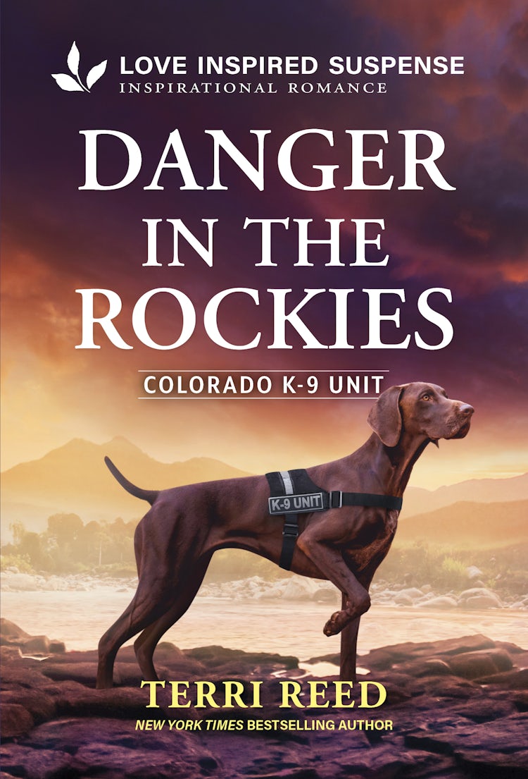 Cover image for Danger In The Rockies, isbn: 9781038985491