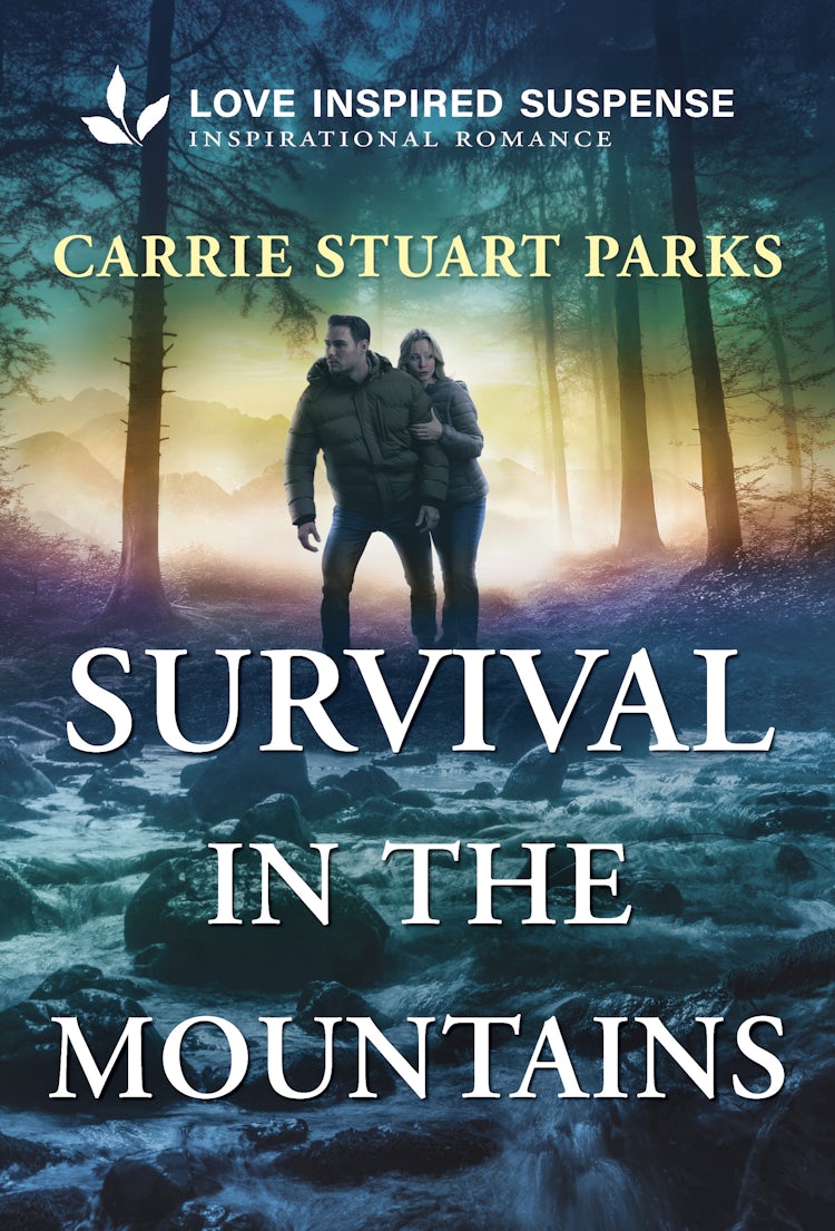 Cover image for Survival In The Mountains, isbn: 9781038985538