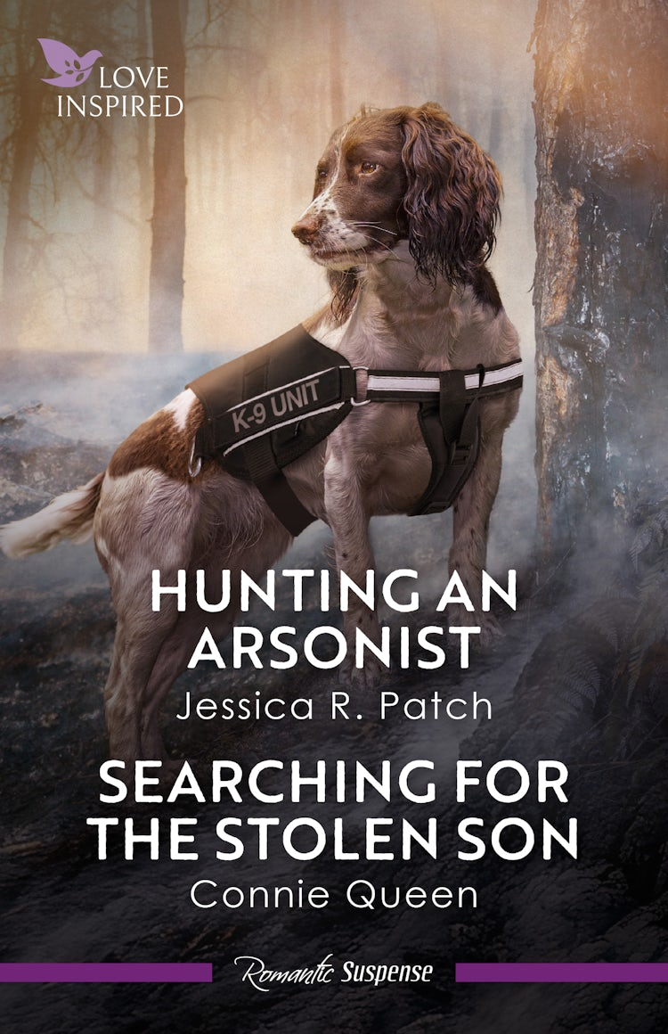 Cover image for Hunting An Arsonist/Searching For The Stolen Son, isbn: 9781038987952