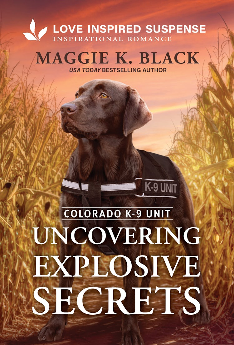 Cover image for Uncovering Explosive Secrets, isbn: 9781038990426