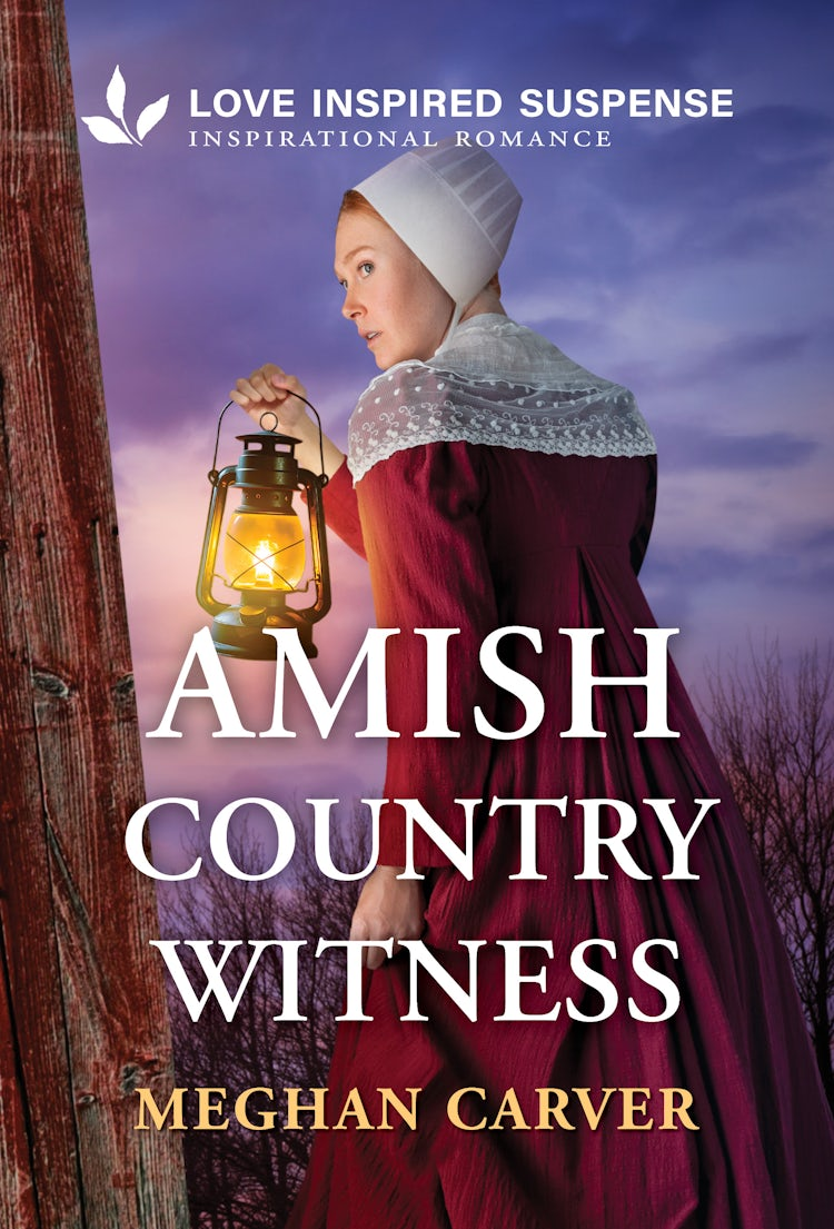 Cover image for Amish Country Witness, isbn: 9781038990440