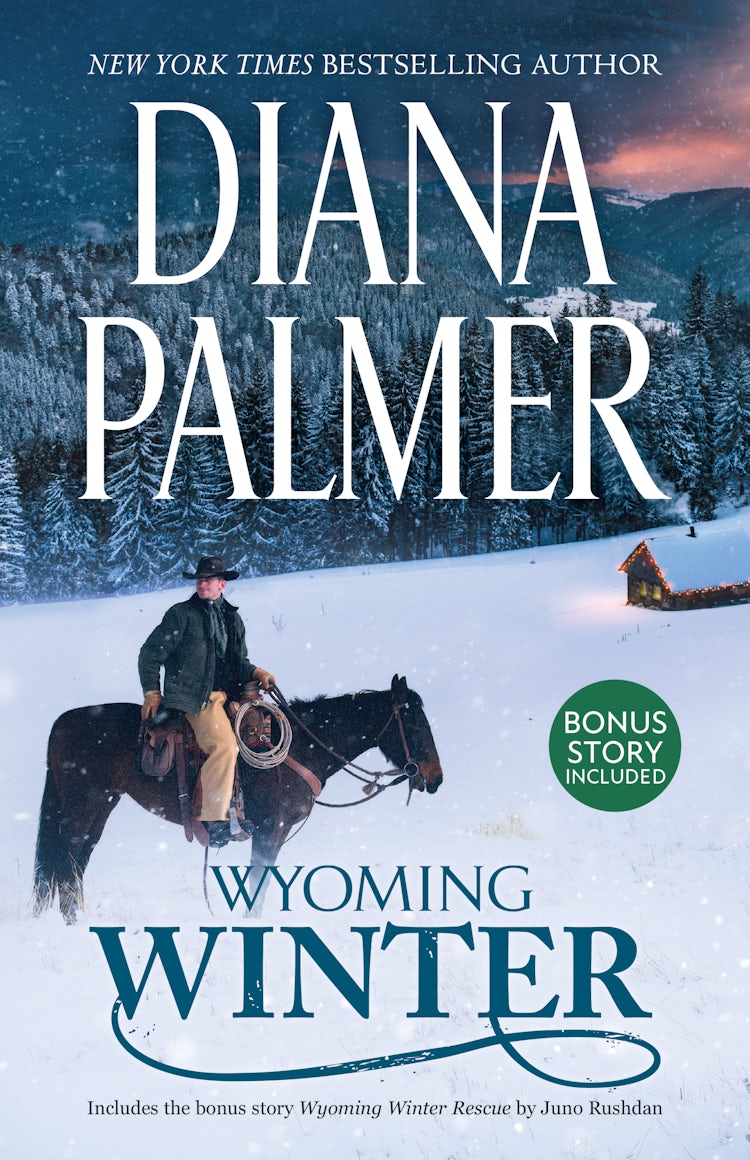 Cover image for Wyoming Winter/Wyoming Winter/Wyoming Winter Rescue, isbn: 9781038993052