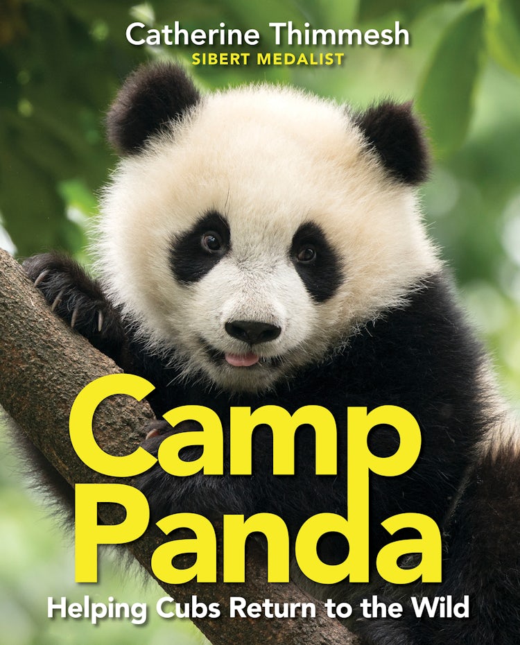 Cover image for Camp Panda, isbn: 9781328476654