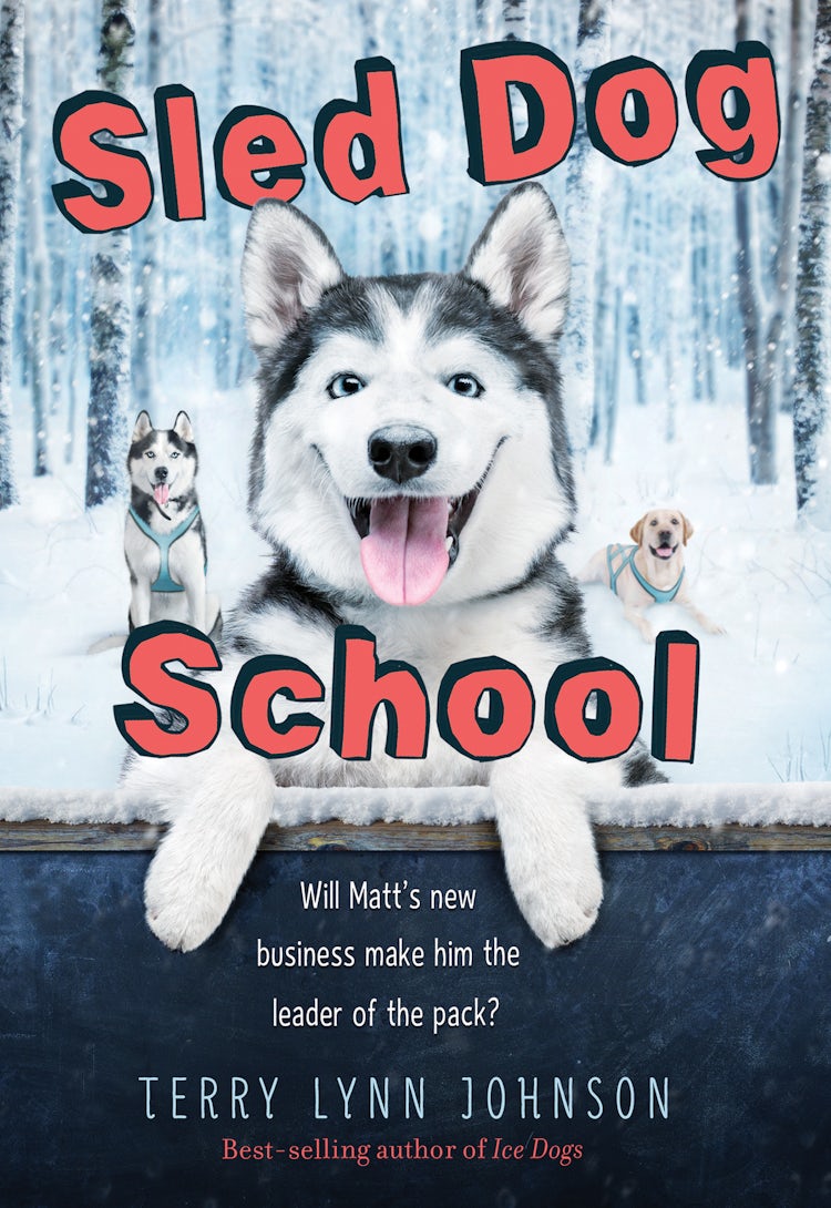 Cover image for Sled Dog School, isbn: 9781328828934