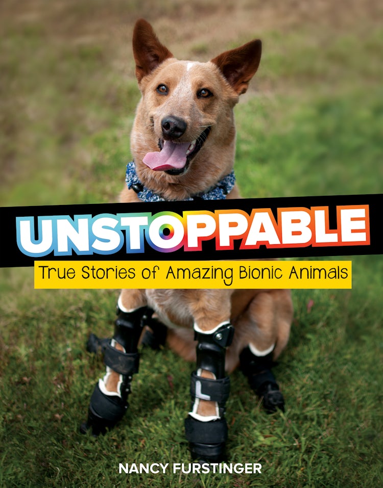 Cover image for Unstoppable, isbn: 9781328828989