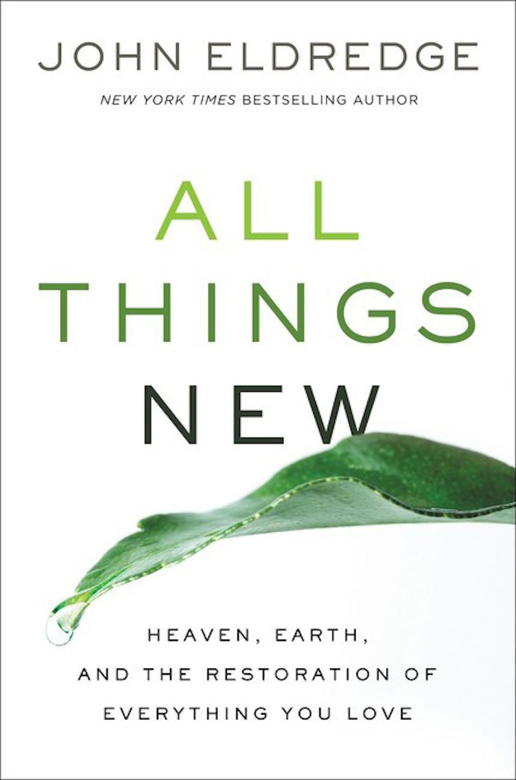 Cover image for All Things New: Heaven, Earth, And The Restoration Of Everything You Love, isbn: 9781400207527