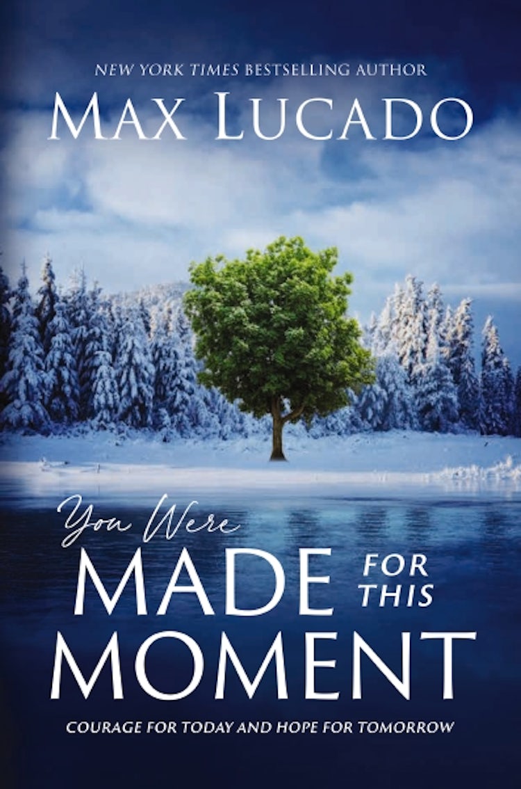 Cover image for You Were Made For This Moment: Courage For Today And Hope For Tomorrow, isbn: 9781400231843
