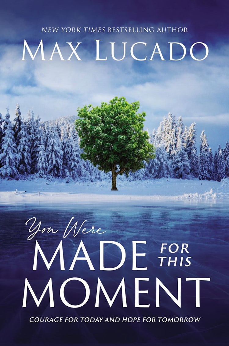 Cover image for You Were Made For This Moment: Courage For Today and Hope for Tomorrow, isbn: 9781400231867