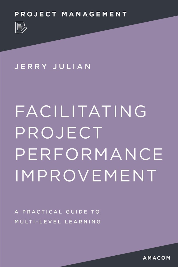 Cover image for Facilitating Project Performance Improvement: A Practical Guide to Multi-Level Learning, isbn: 9781400232697