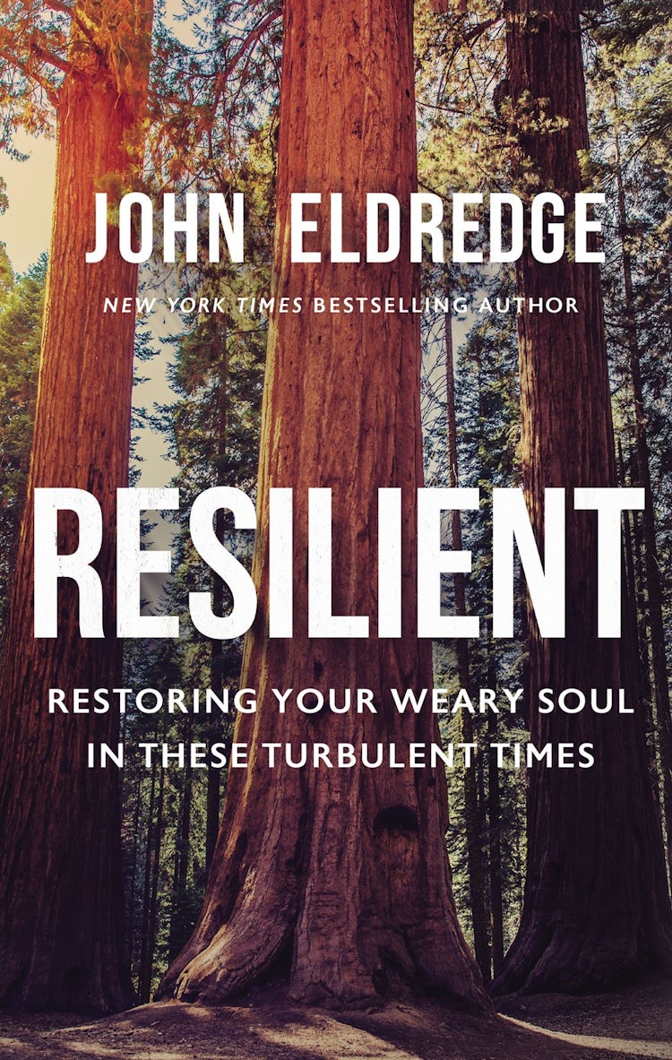 Cover image for Resilient: Restoring Your Weary Soul in These Turbulent Times, isbn: 9781400237821