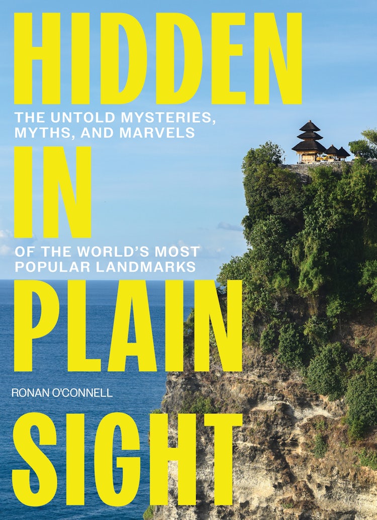 Cover image for Hidden in Plain Sight, isbn: 9781400251469