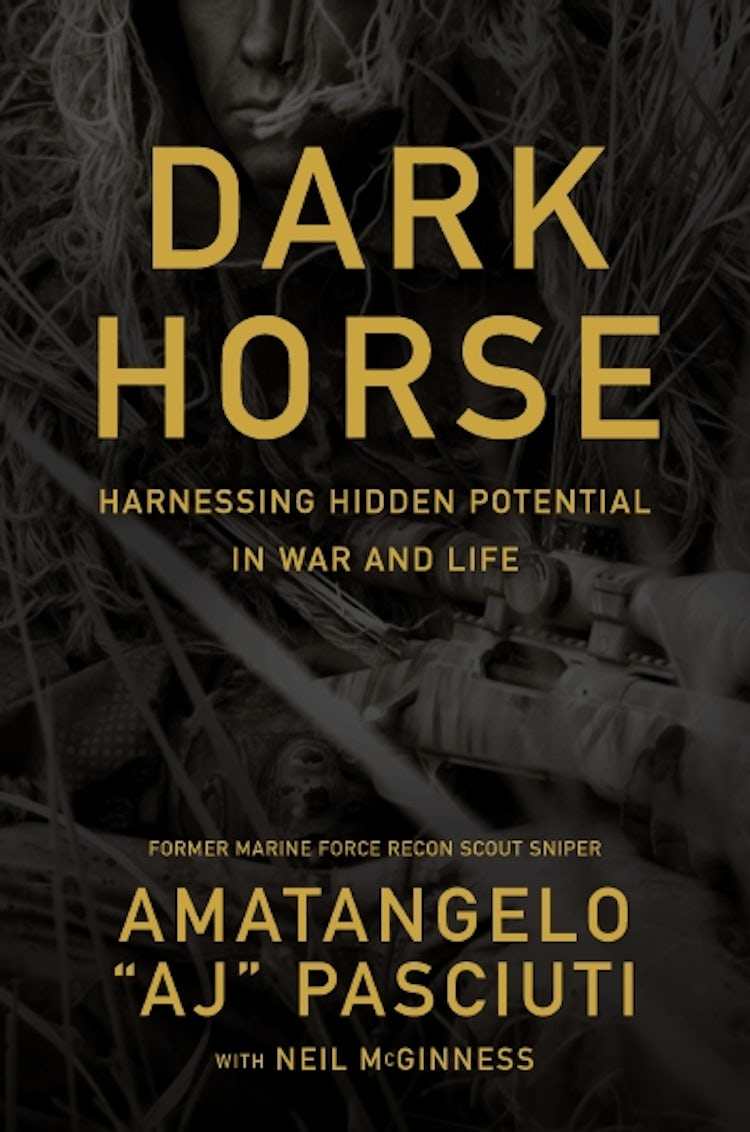 Cover image for Darkhorse: Harnessing Hidden Potential in War and Life, isbn: 9781400254972