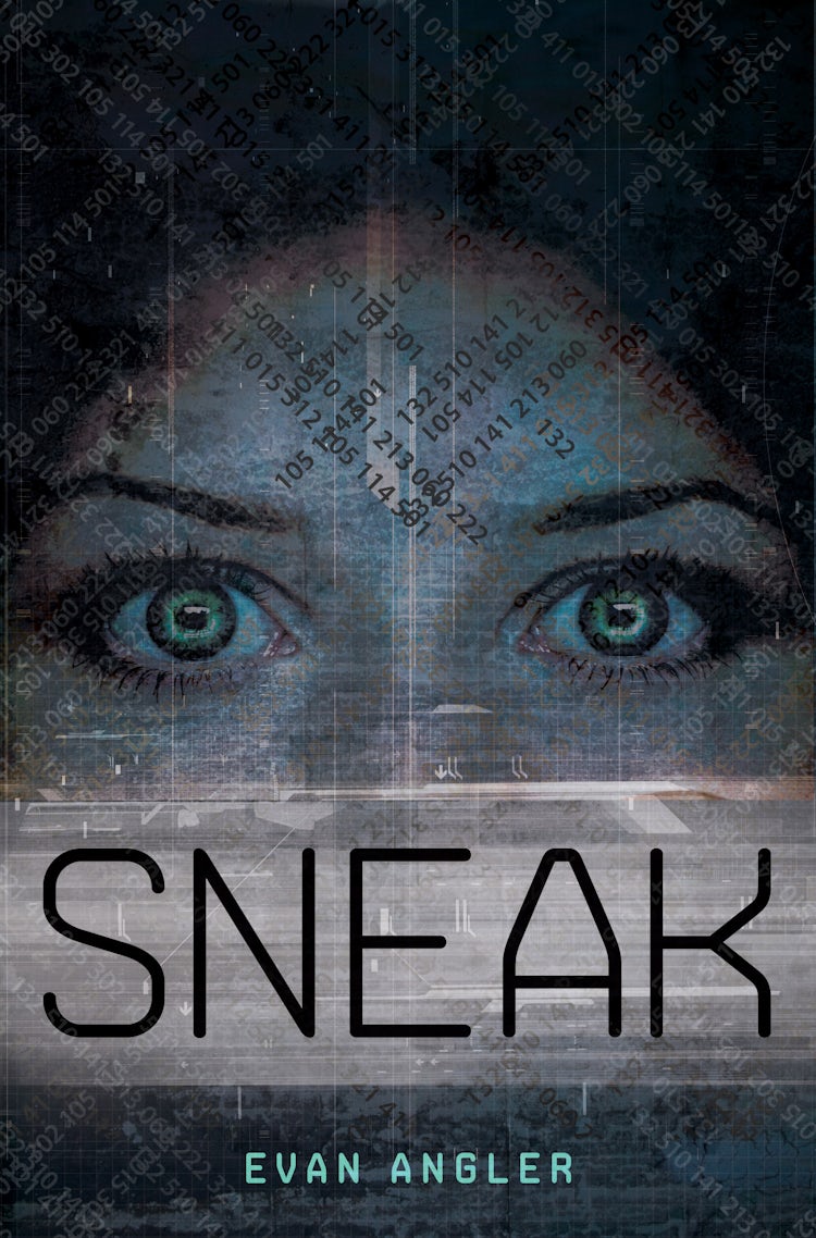 Cover image for Sneak, isbn: 9781400318421