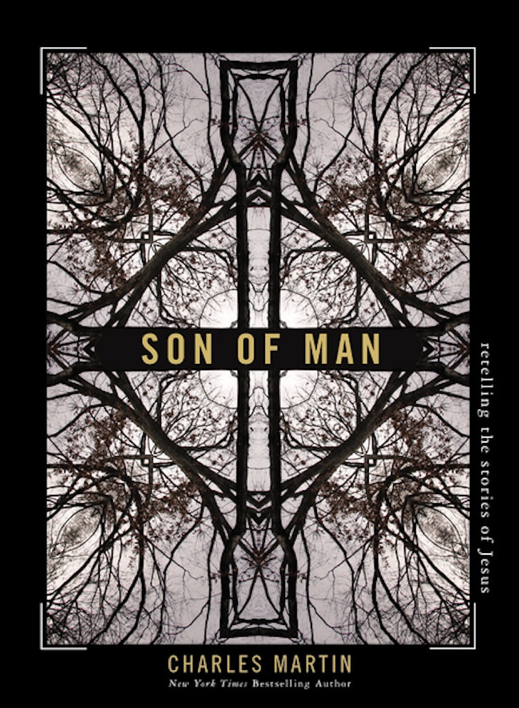 Cover image for Son Of Man: Retelling The Stories Of Jesus, isbn: 9781400333523