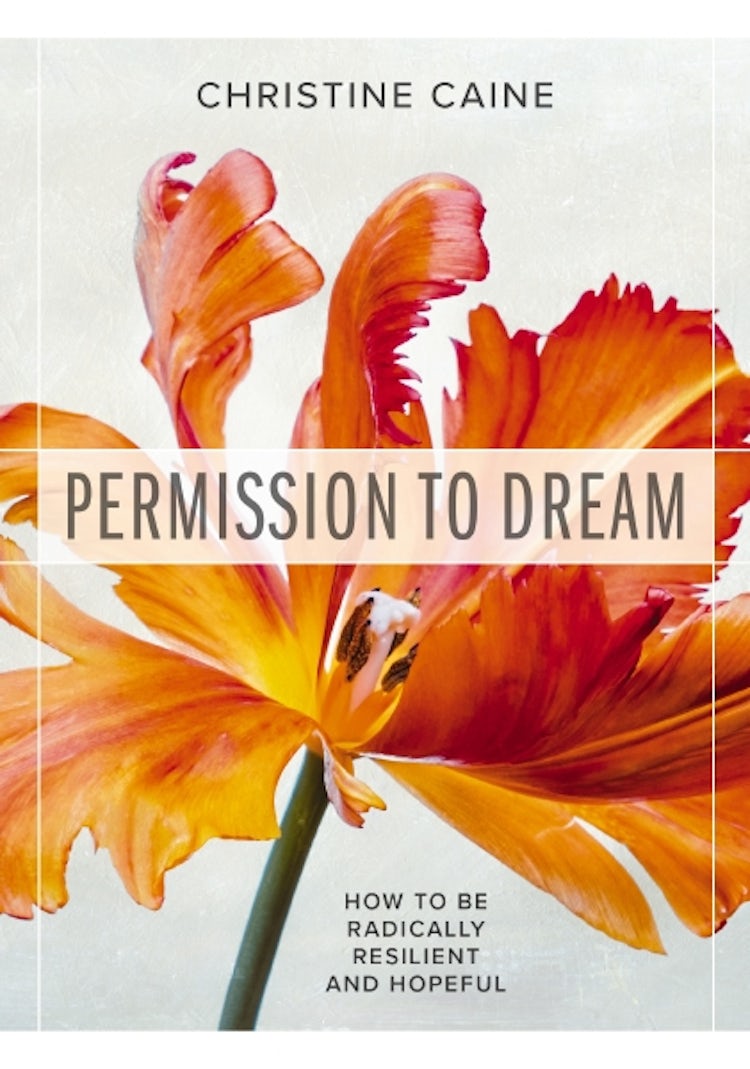 Cover image for Permission To Dream: How To Be Radically Resilient And Hopeful, isbn: 9781400336876