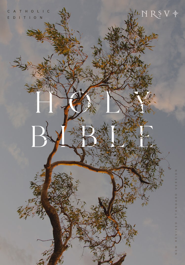 Cover image for NRSV Catholic Edition Bible, Eucalyptus Hardcover (Global Cover Series): Holy Bible, isbn: 9781400337132