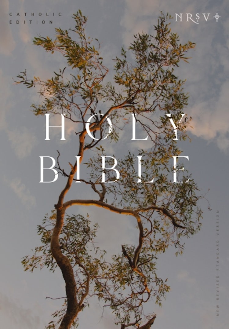 Cover image for NRSV Catholic Edition Bible, Eucalyptus Paperback (Global Cover Series): Holy Bible, isbn: 9781400337187