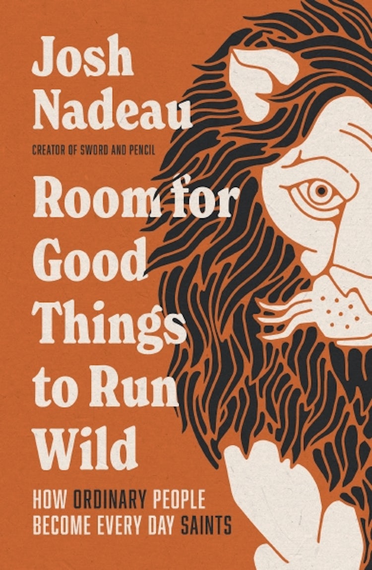 Cover image for Room for Good Things to Run Wild: How Ordinary People Become Every Day Saints, isbn: 9781400341047