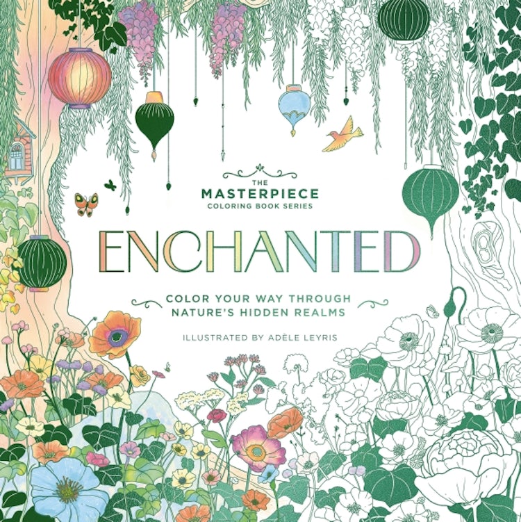 Cover image for Enchanted: Color Your Way Through Nature's Hidden Gems, isbn: 9781400352982