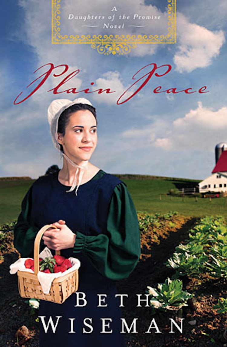 Cover image for Plain Peace, isbn: 9781401685942