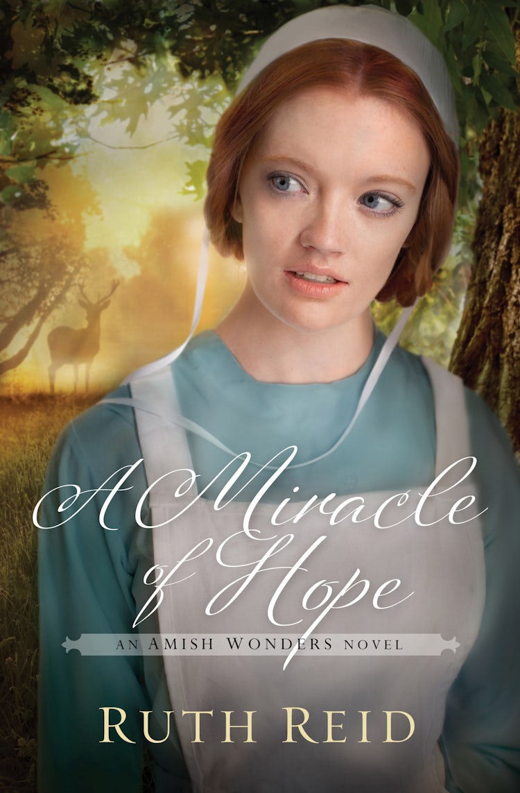 Cover image for A Miracle of Hope: The Amish Wonders Series, Book 1, isbn: 9781401688295