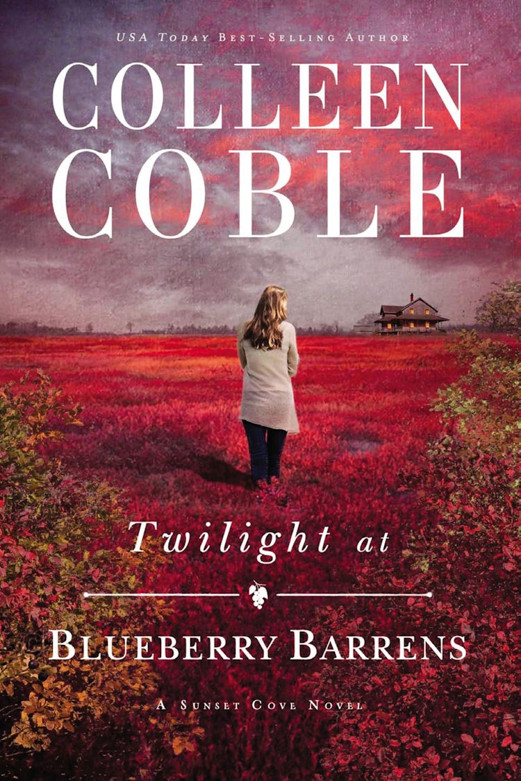 Cover image for Twilight At Blueberry Barrens, isbn: 9781401690304