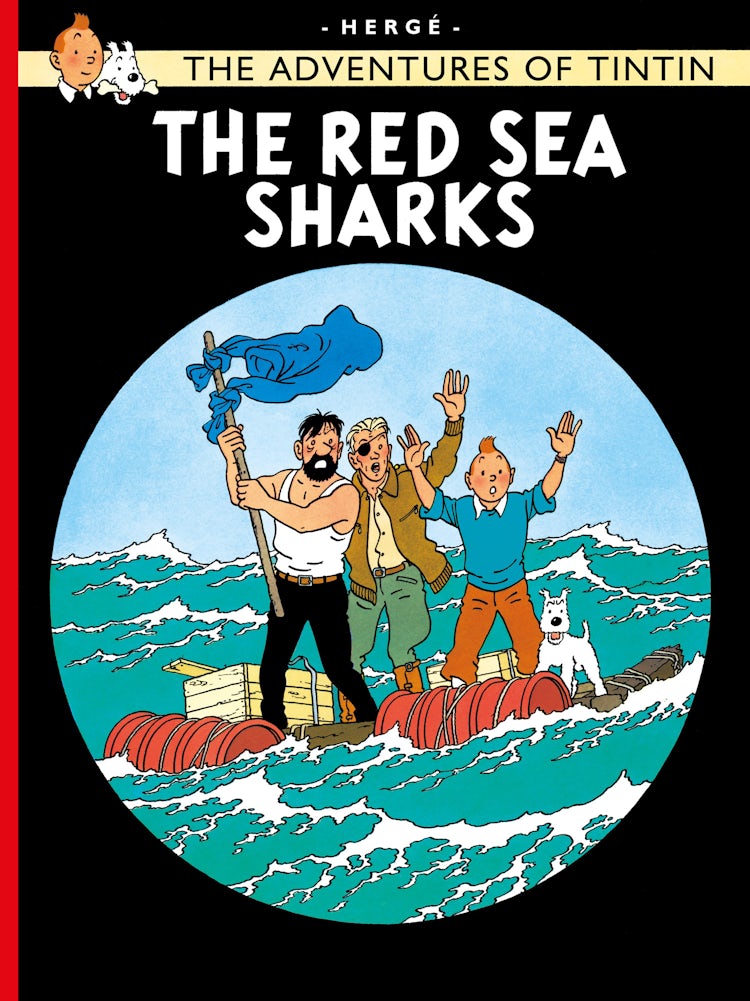 Cover image for Red Sea Sharks, isbn: 9781405206303