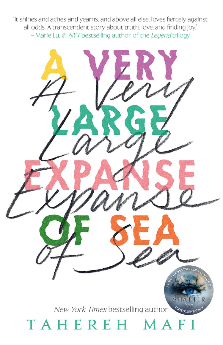Cover image for A Very Large Expanse of Sea, isbn: 9781405292603